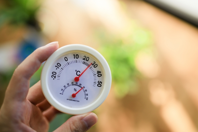 温度計を持つ手