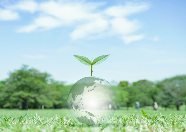 新芽が生えている地球のイメージ画像