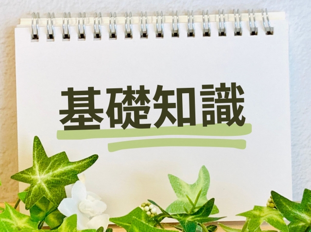 基礎知識の文字列と観葉植物